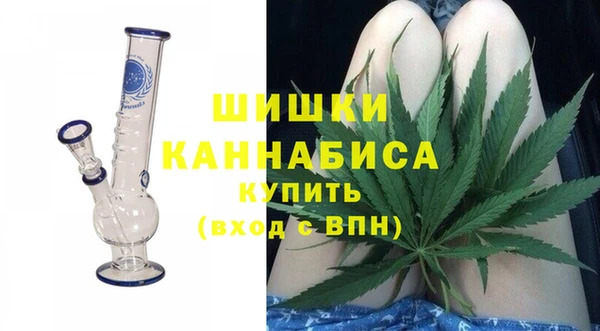прущая мука Каменка