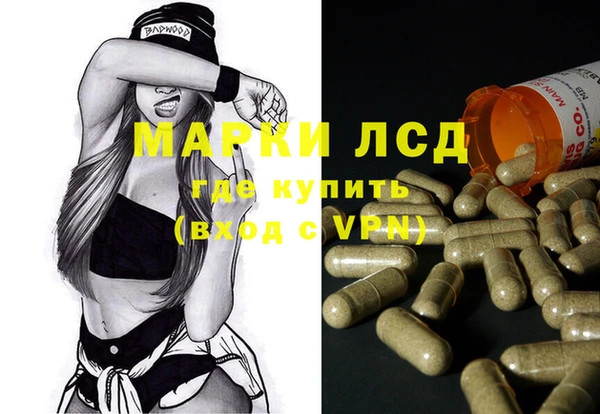 spice Инсар