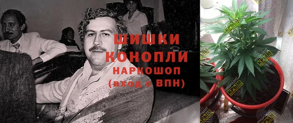 spice Инсар