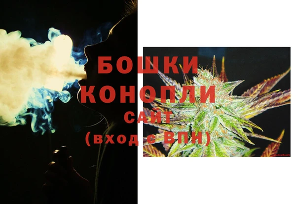 прущая мука Каменка