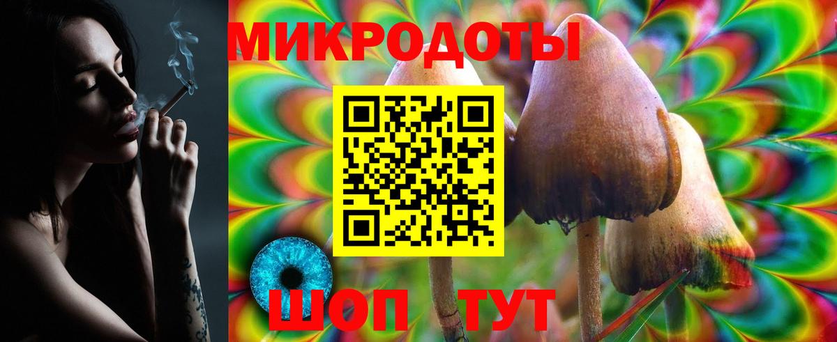 Псилоцибиновые грибы Cubensis Ковров